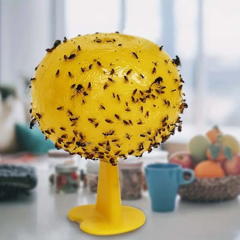 Fruktfluge- Och Knottfällbolla 🐝🍯
