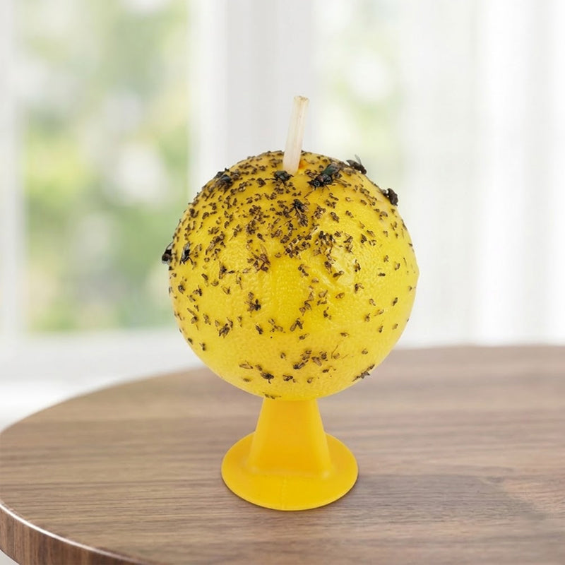 Fruktfluge- Och Knottfällbolla 🐝🍯