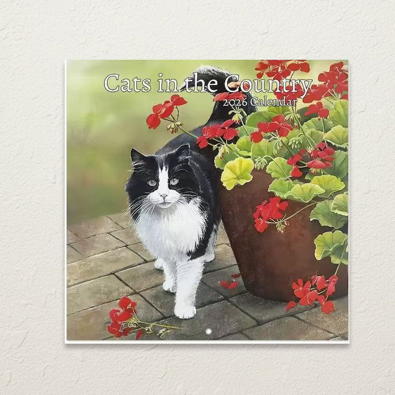 🐾 Katt- & hundkalender 2026 | Gulliga djurmotiv 🐶