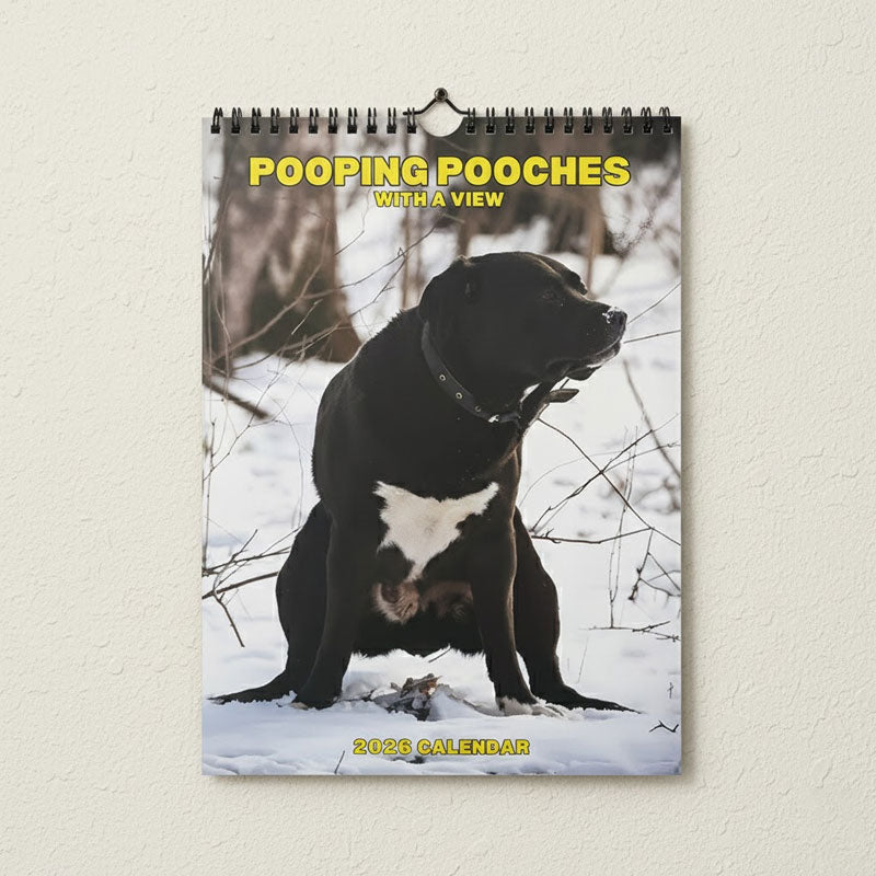 🐾 Katt- & hundkalender 2026 | Gulliga djurmotiv 🐶