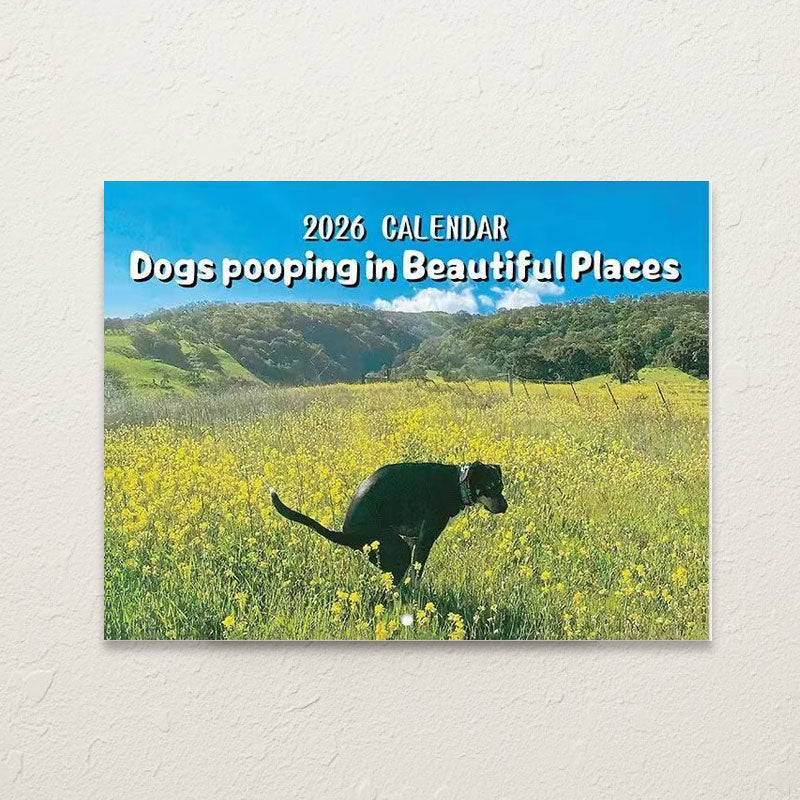 🐾 Katt- & hundkalender 2026 | Gulliga djurmotiv 🐶
