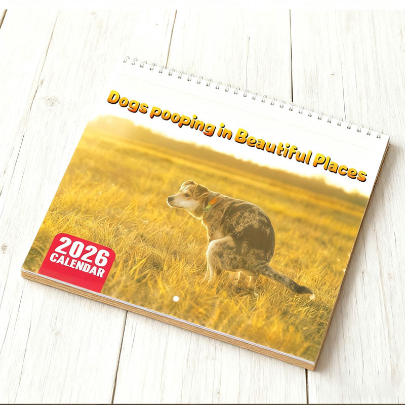 🐾 Katt- & hundkalender 2026 | Gulliga djurmotiv 🐶