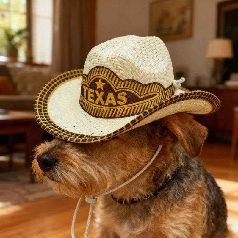 🤠Mini-cowboyhatt för husdjur🐱