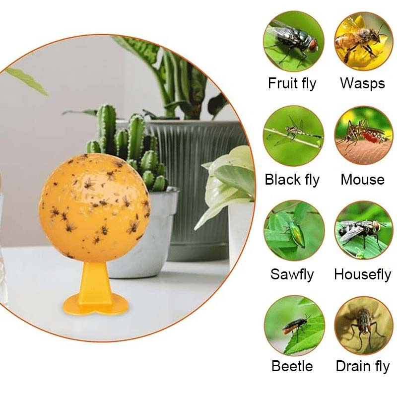 Fruktfluge- Och Knottfällbolla 🐝🍯