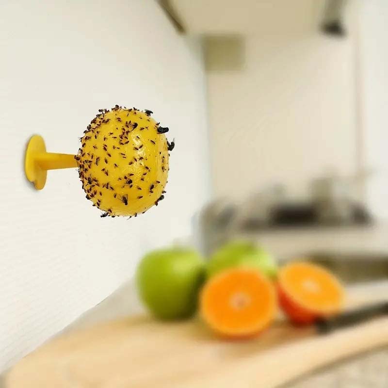 Fruktfluge- Och Knottfällbolla 🐝🍯