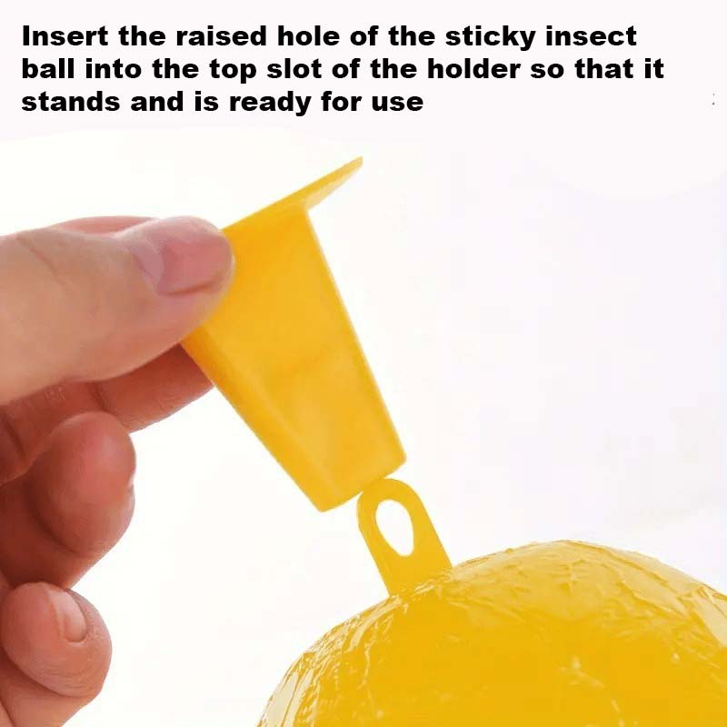 Fruktfluge- Och Knottfällbolla 🐝🍯